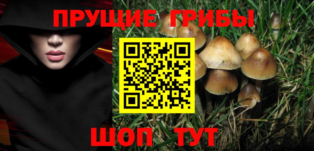 Псилоцибиновые грибы мицелий Канаш