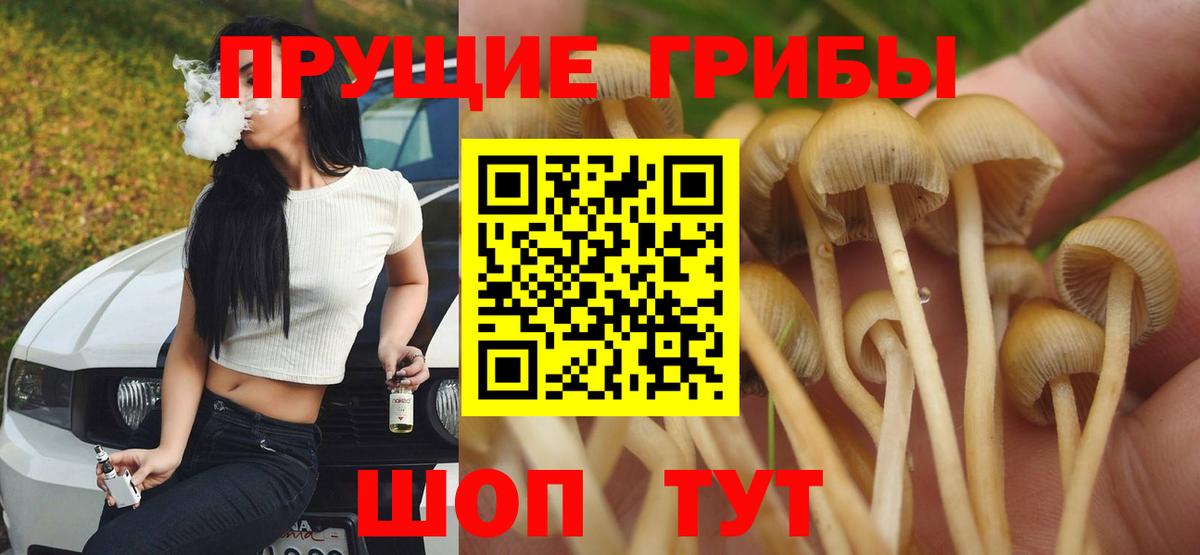 Галлюциногенные грибы GOLDEN TEACHER  Вход с VPN  сколько стоит  Канаш 